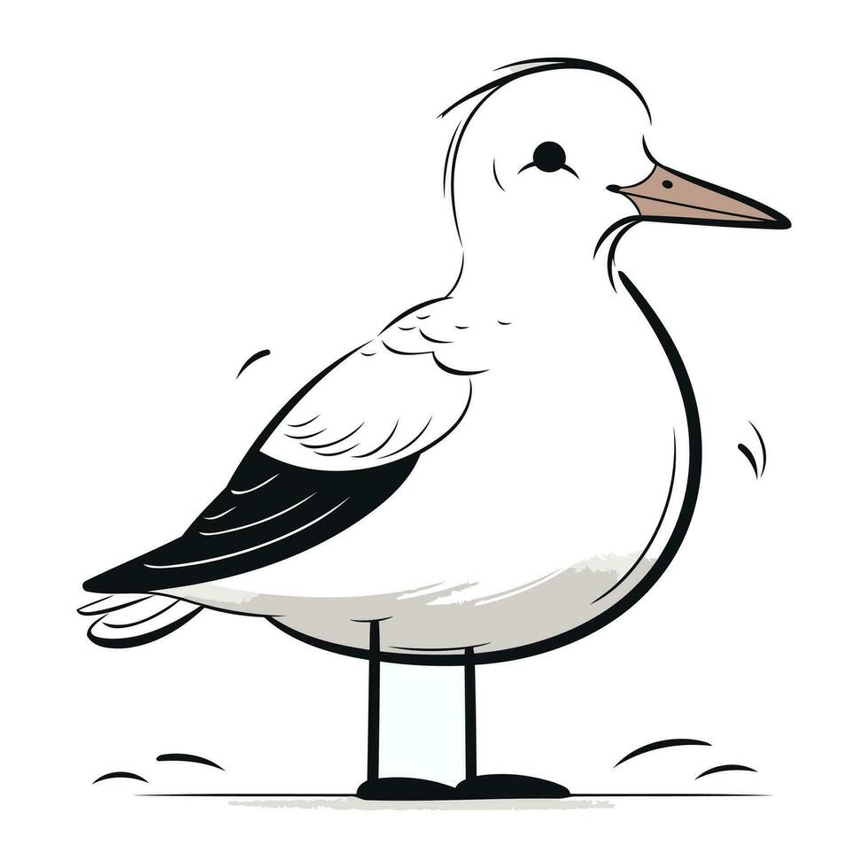 Gaviota en un blanco antecedentes. vector ilustración en dibujos animados estilo.