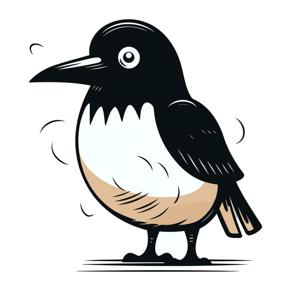 ilustración de un negro y blanco pájaro aislado en un blanco antecedentes vector