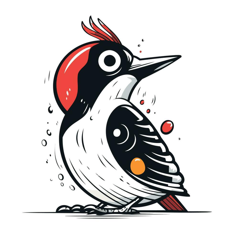 Dendrocopos major. Woodpecker bird. Vector illustration.