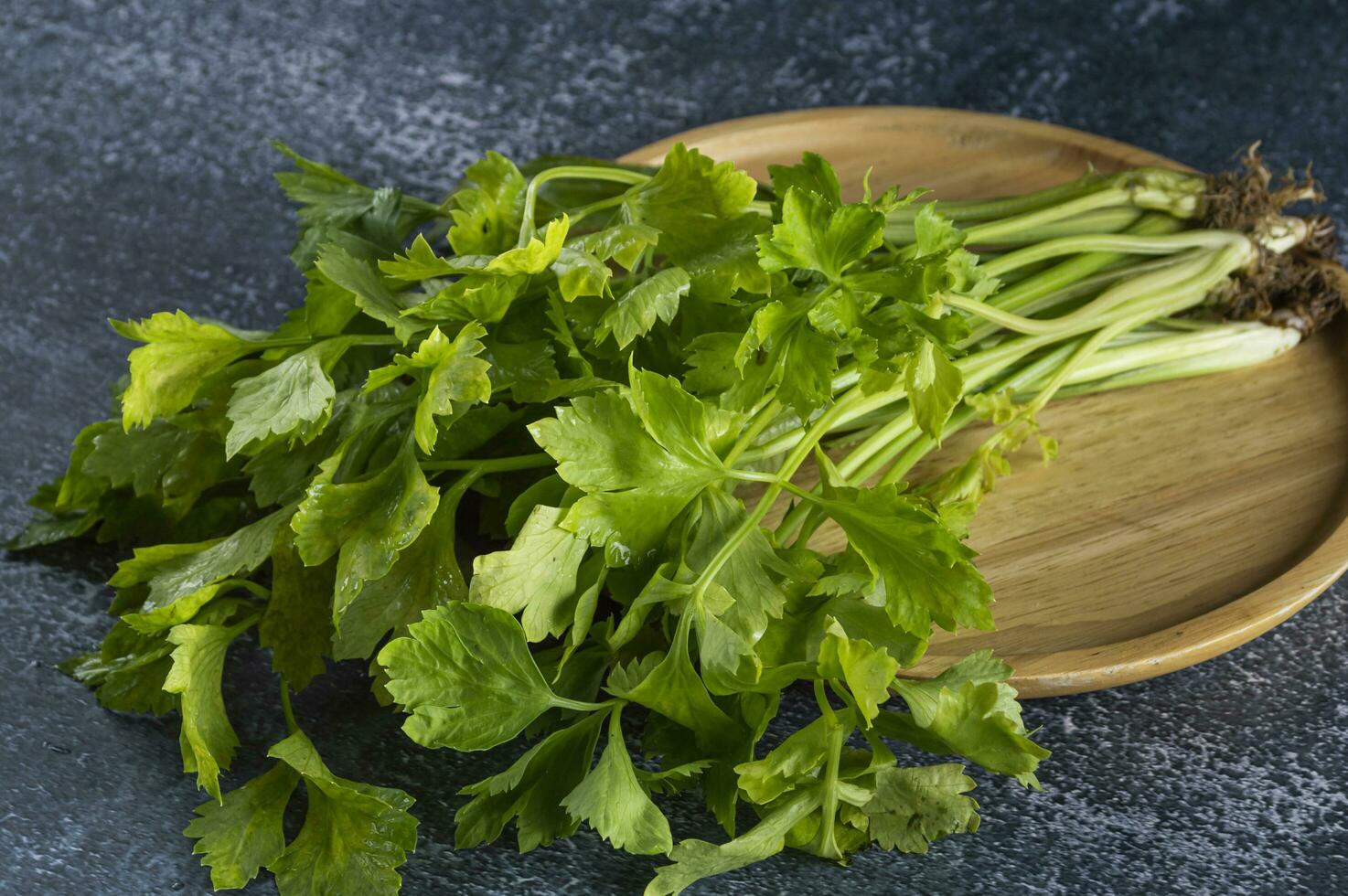 a bunch of fresh green celery on a wooden plate photo