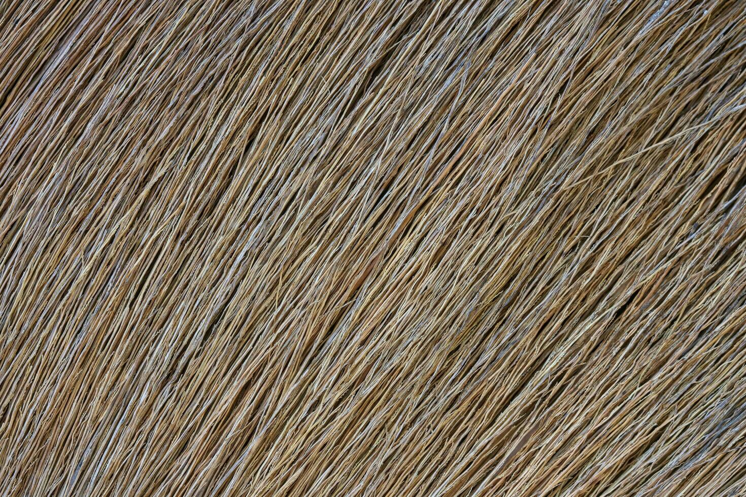 The background image is from the floor broom panel. photo