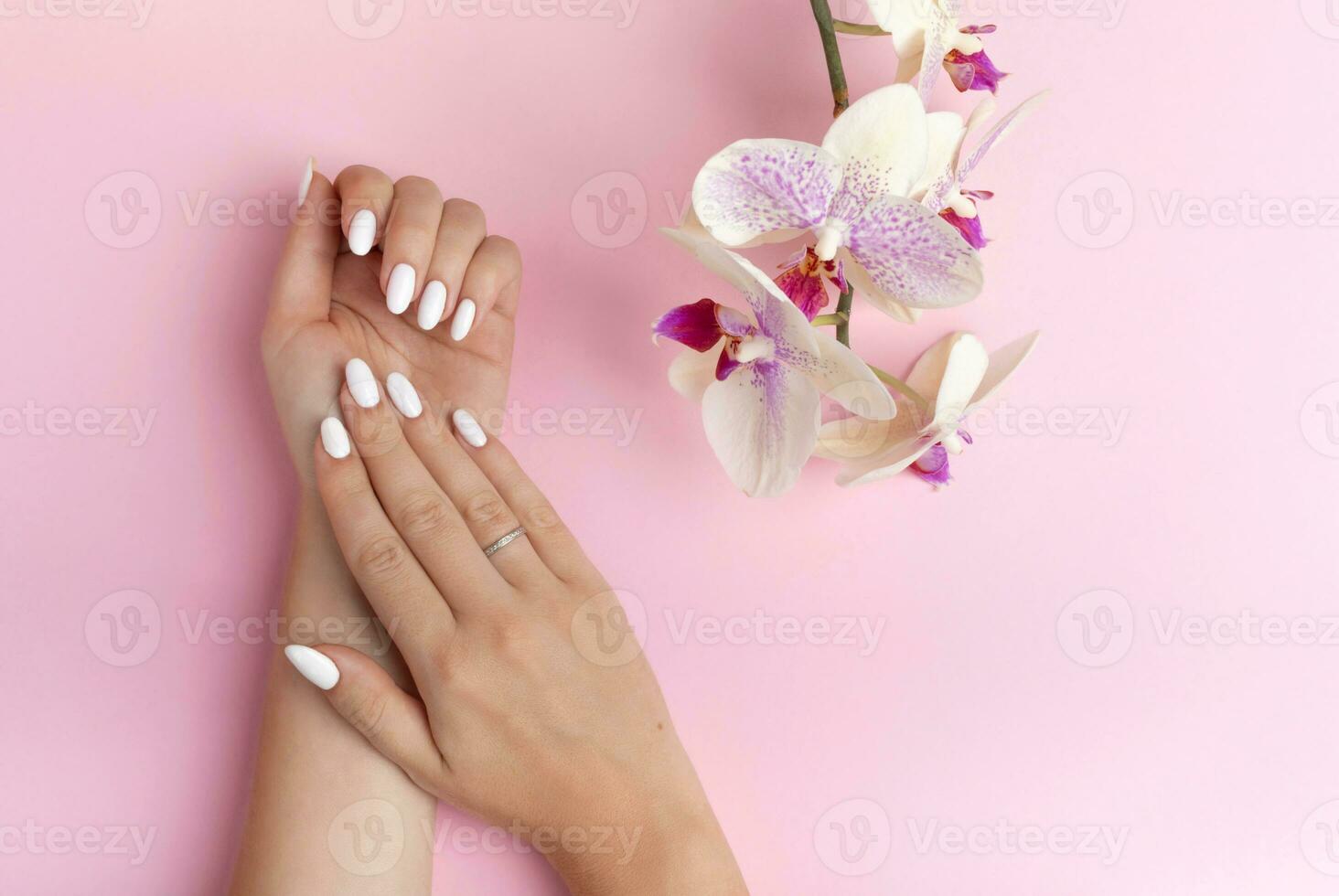 subtle fingers of a beautiful young woman's hands with white nails on a pink background with orchid flowers photo