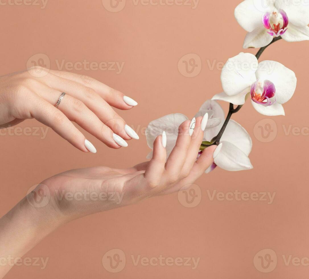 manos de un bien arreglado mujer con femenino uñas en un beige antecedentes orquídea flores foto