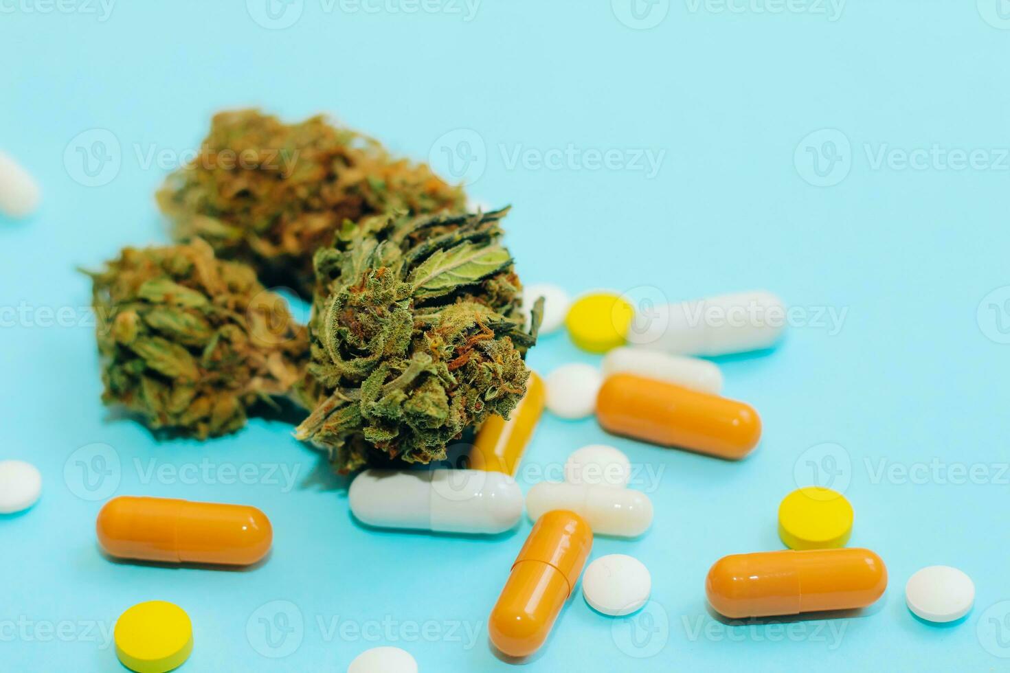 Medical marijuana, inflorescences of shinki herb plant with judge's gavel and pills photo