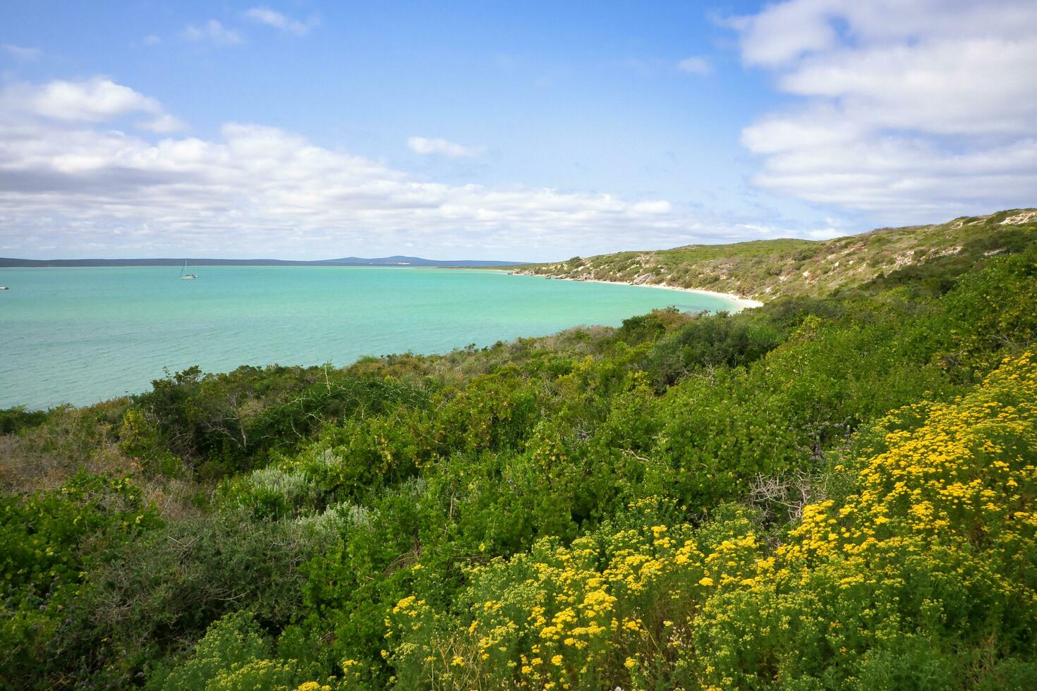 Flowers at the beach photo