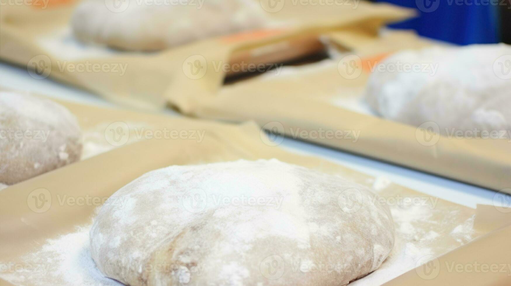 Fermented dough arranged in rows. Generative AI photo