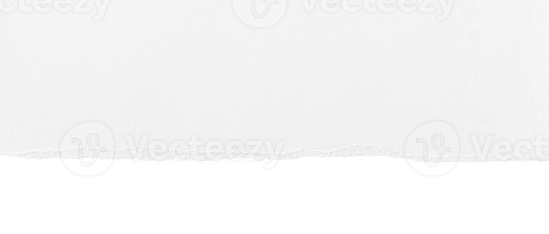 close up of a white ripped piece of paper with copyspace. torn paper  isolated transparent png 25921212 PNG