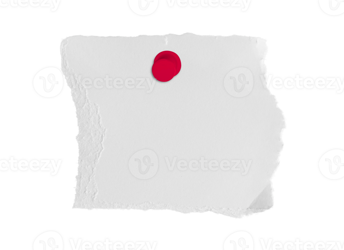 White ripped paper torn with push pin isolated on transparent background. PNG file