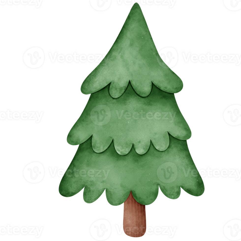 Christmas tree Watercolor Elements png