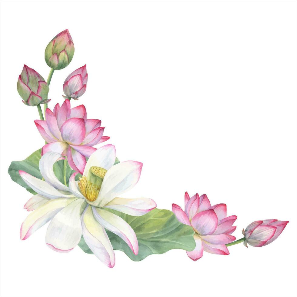 Frame of blooming lotus flowers, buds, leaves. White and pink Water lilies, Indian lotus, green leaf, bud. Space for text. Watercolor illustration for greetings, package, label, invitation vector