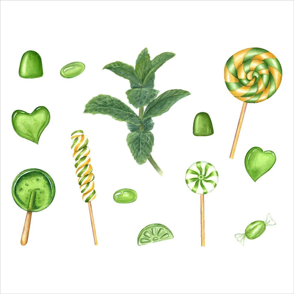 Set of peppermint caramels, mint branch. Lollipops in the shape of heart. Jelly, spiral candies. Sugar caramel on stick. Fragrant fresh mint sprigs. Watercolor illustration for design, label, card vector