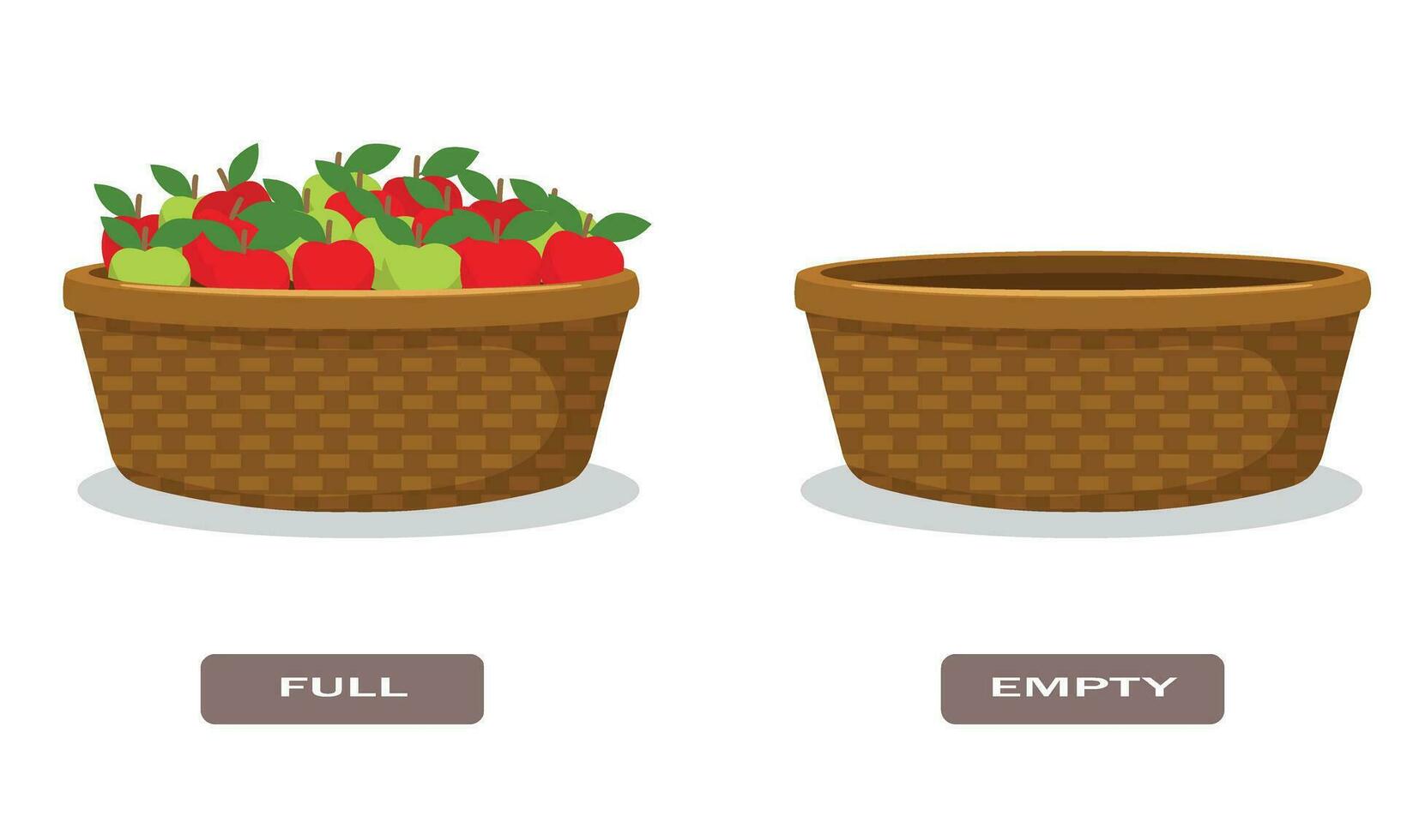 Opposite words antonym full and empty with basket of apples vector