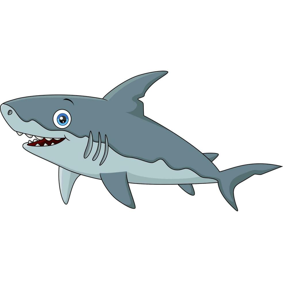 Cute dibujos animados de tiburón sobre fondo blanco. vector