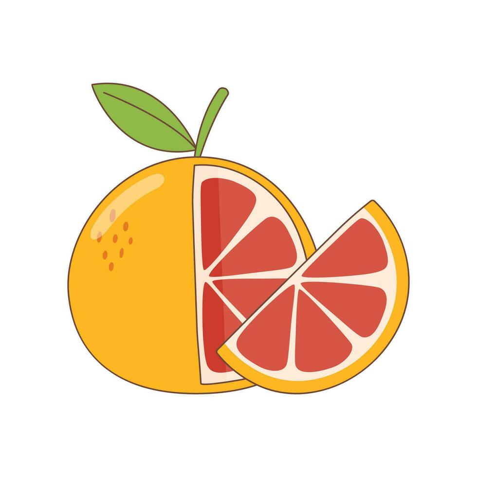Grapefruit whole and a slice vector