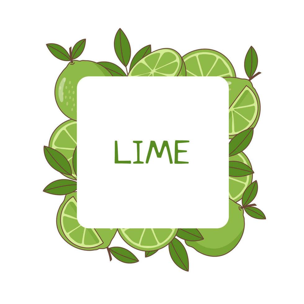 Lime background border vector