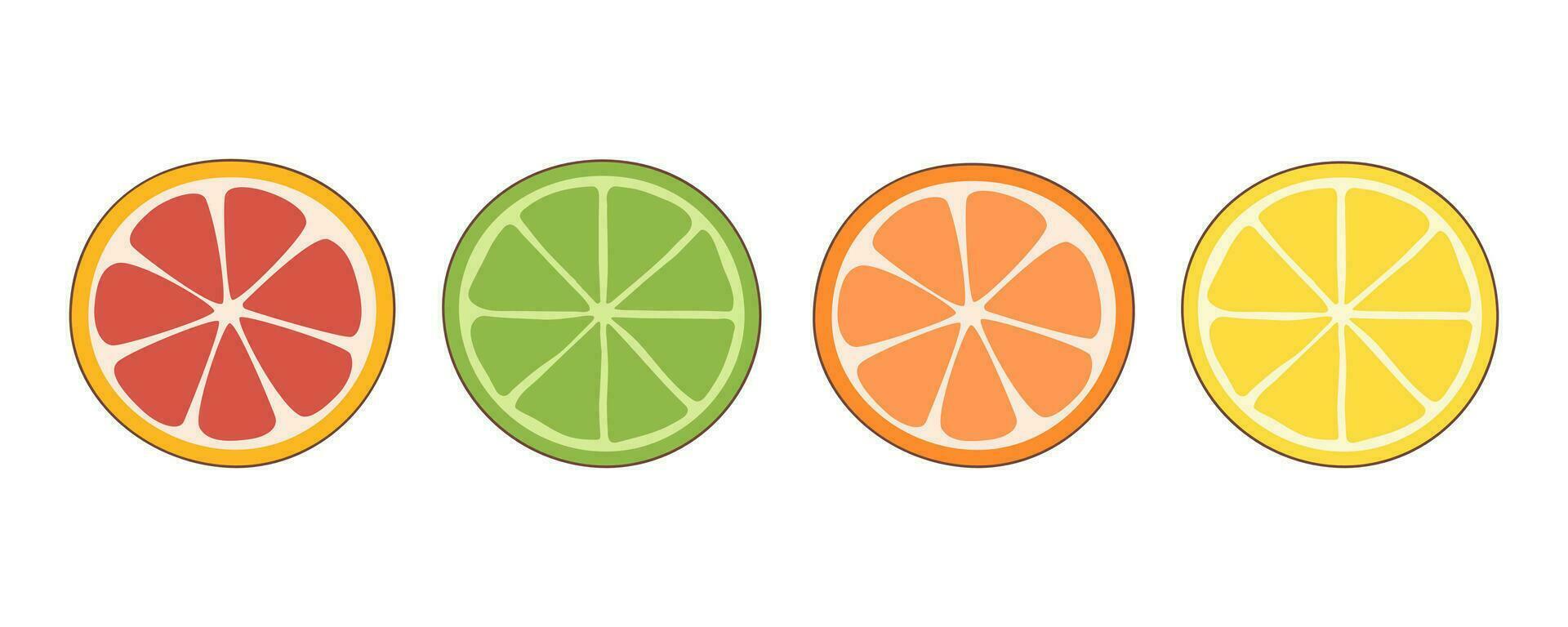 Set of citrus fruit slices vector