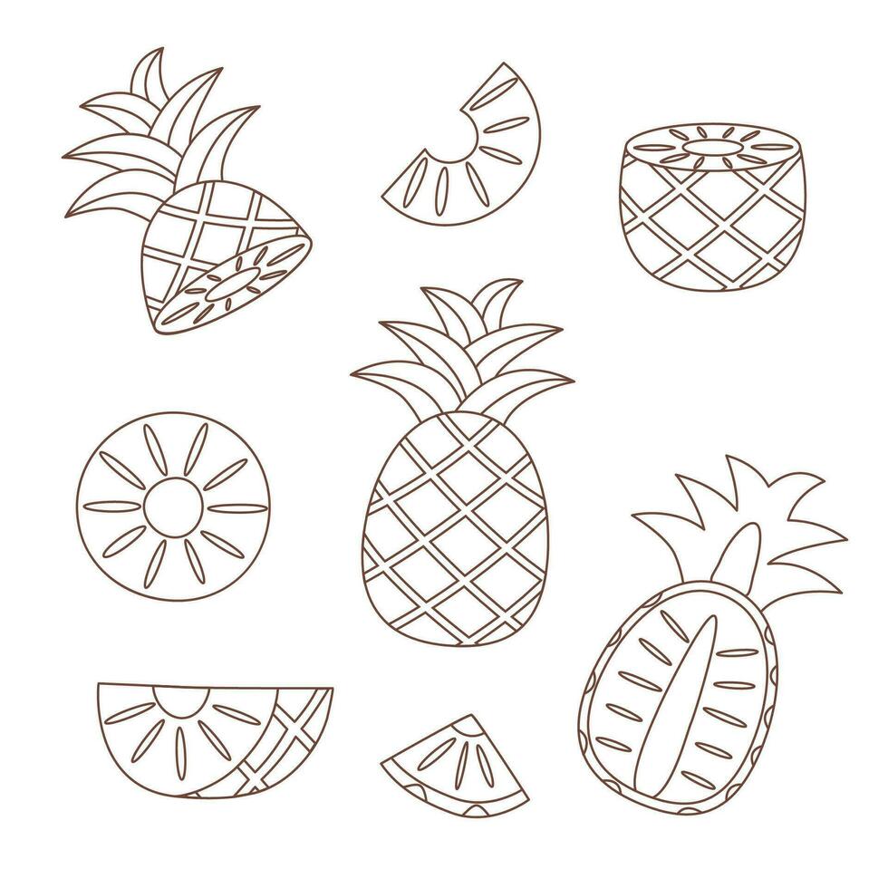 Pineapple outline on white background vector