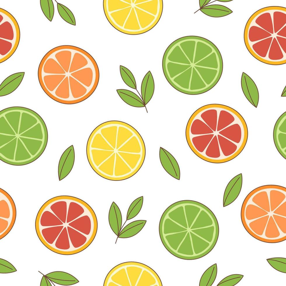 Citrus seamless pattern vector