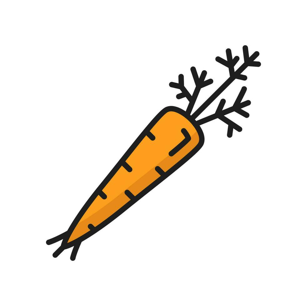 Raw carrot fresh organic vegetable color line icon vector