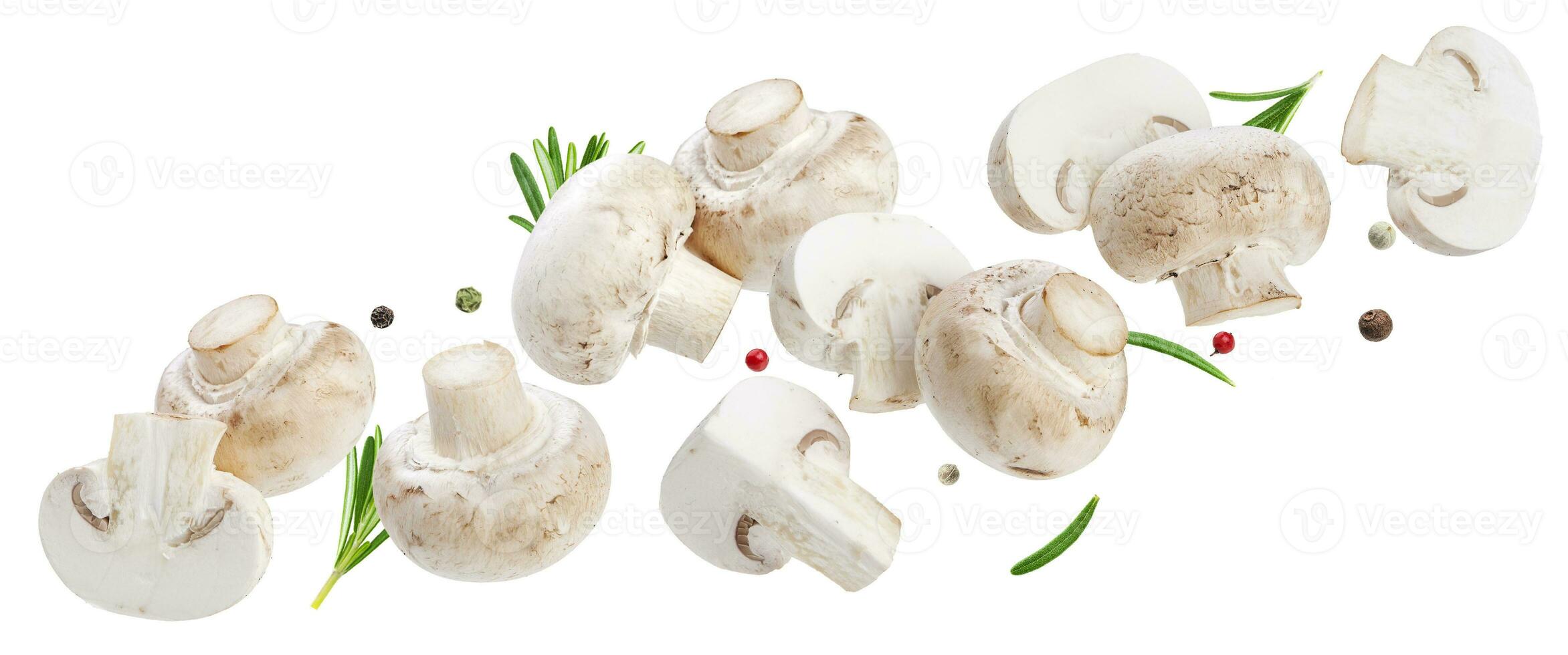 Falling mushrooms collection, champignons isolated on white background photo