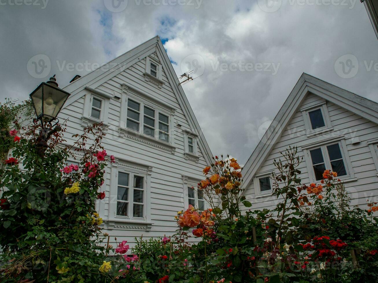 Stavanger city in norway photo