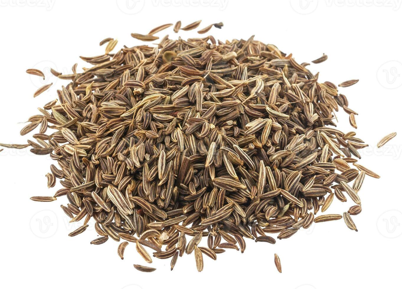 Cumin or caraway seeds isolated on white background photo