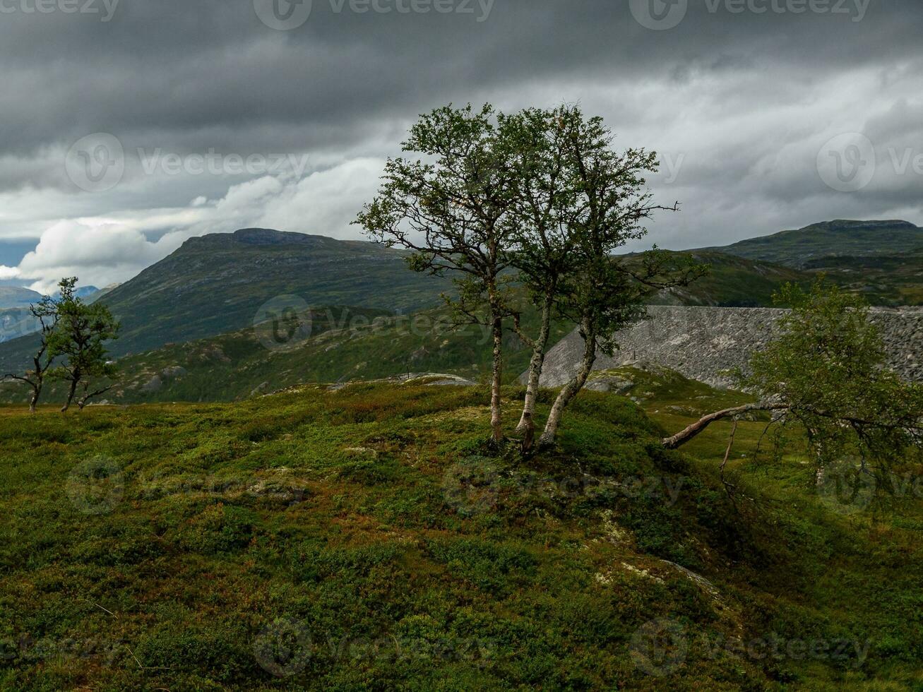 verano hora en Noruega foto