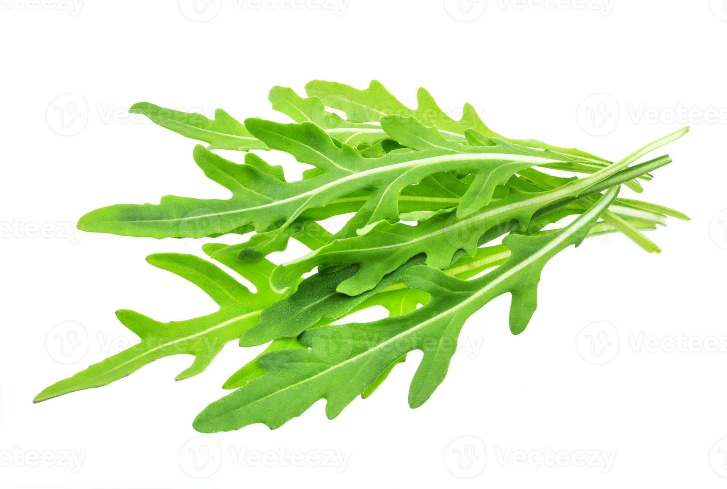 Rucola bunch isolated on white background photo