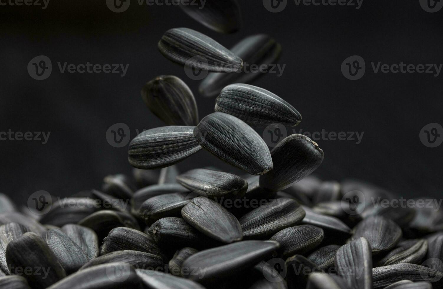 negro girasol semillas, de cerca en oscuro antecedentes foto