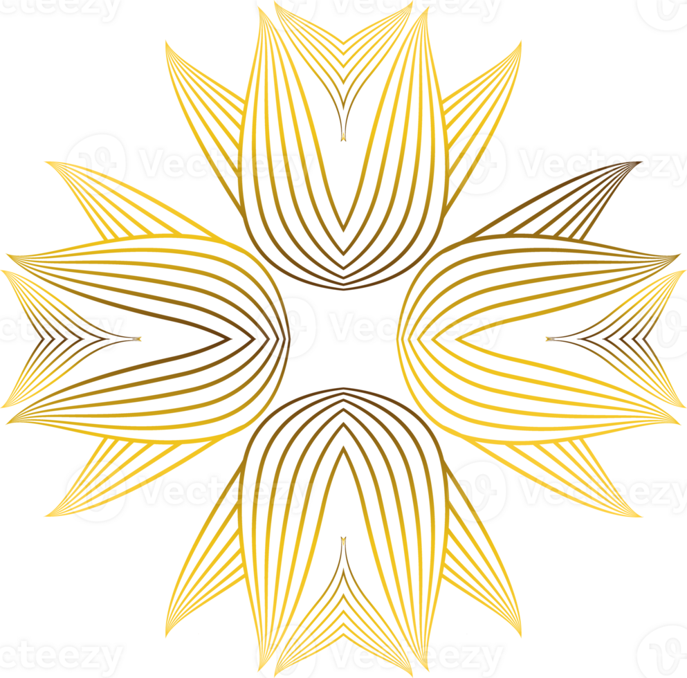luxury golden flower petal png