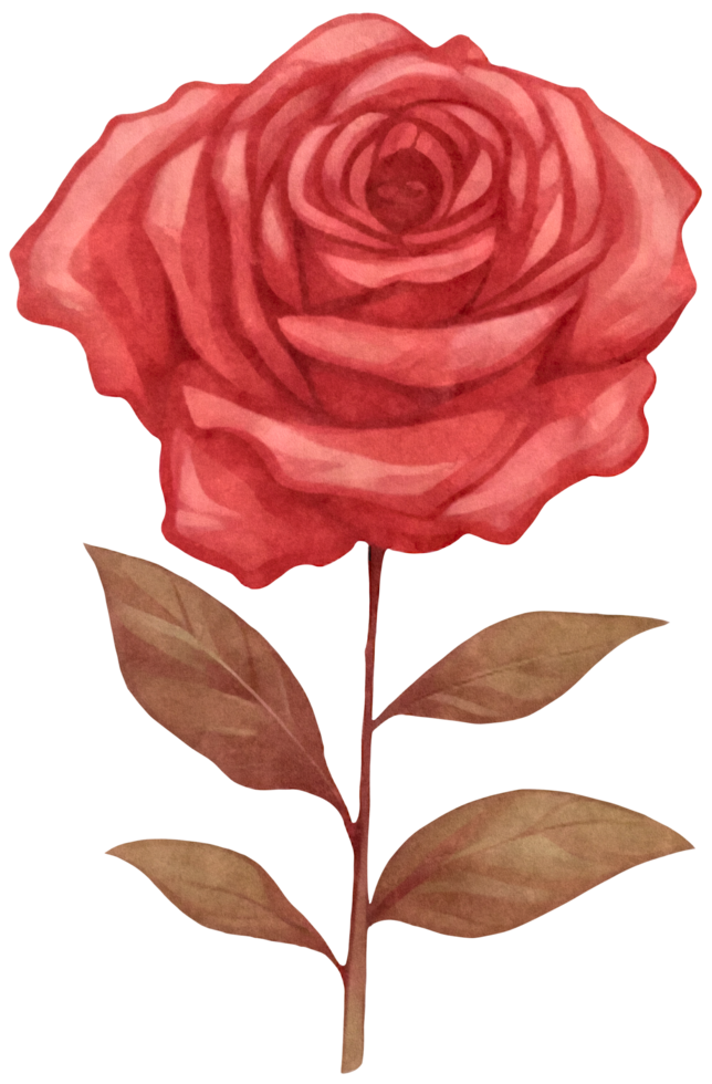 illustration of a pink rose in a watercolor style AI Generative png