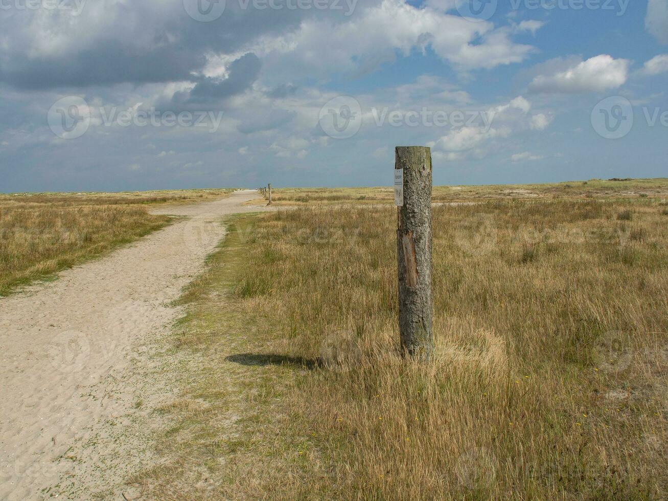 the island of Spiekeroog photo