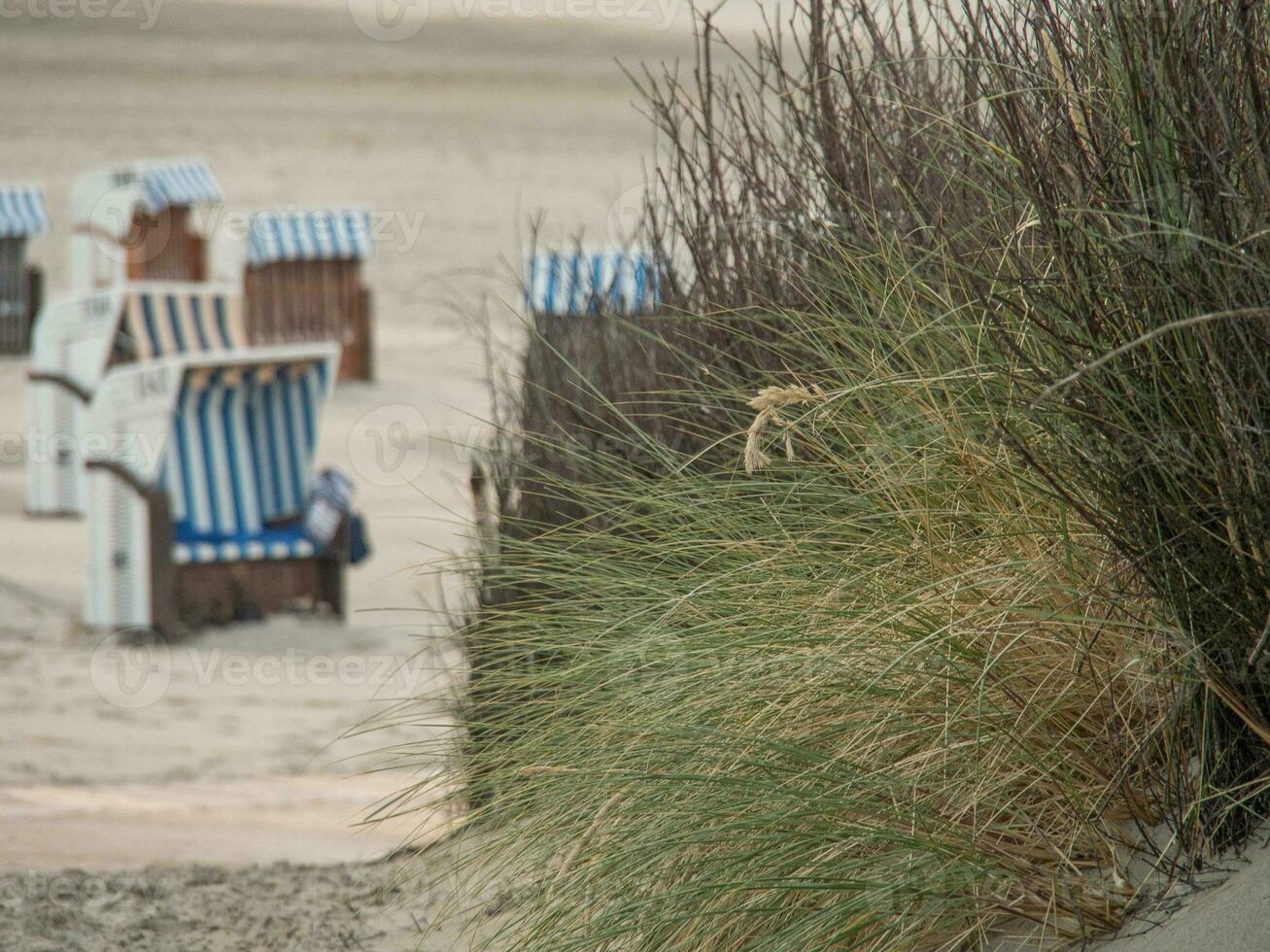 the island of Spiekeroog photo
