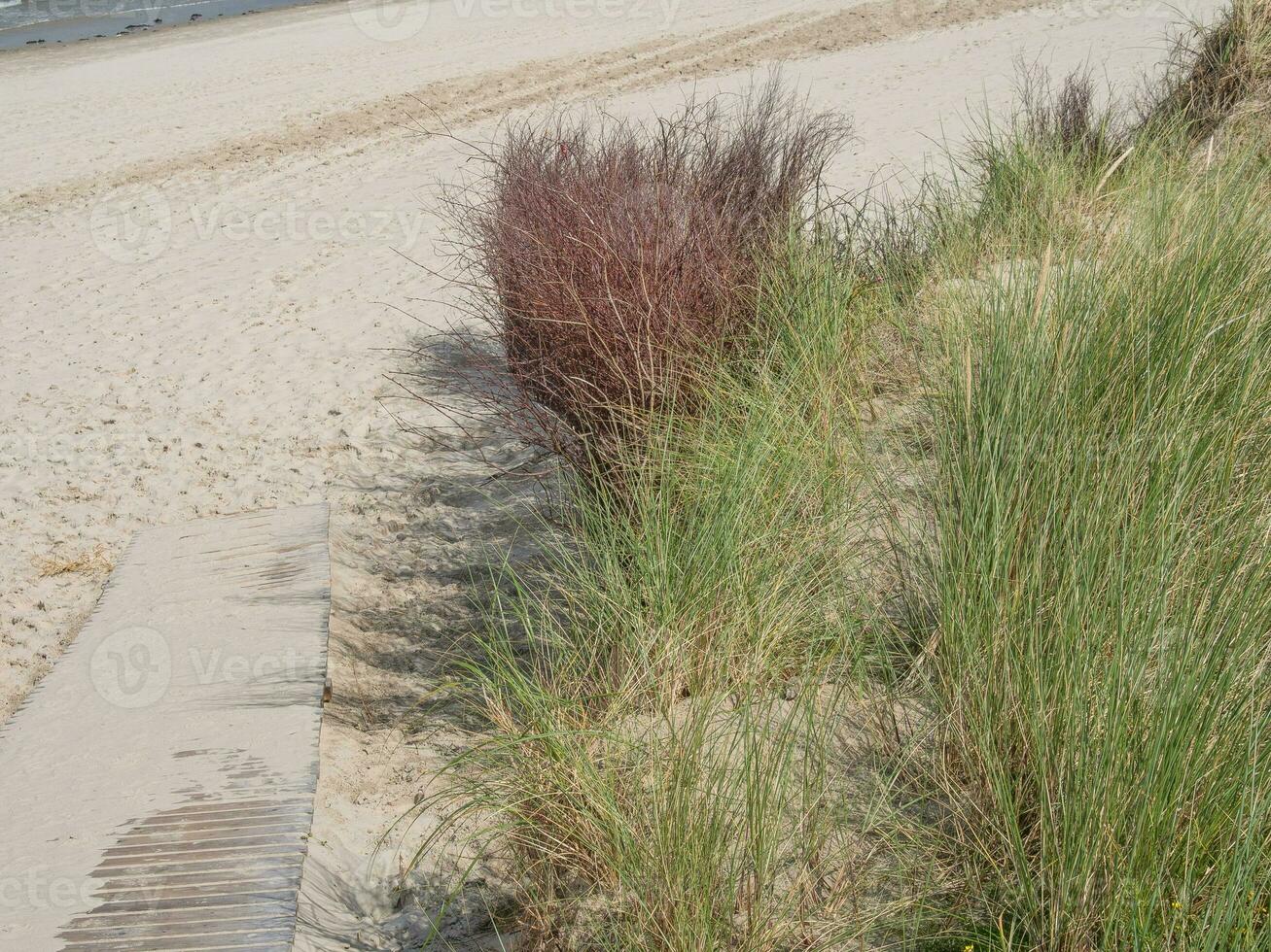 spiekeroog island in germany photo