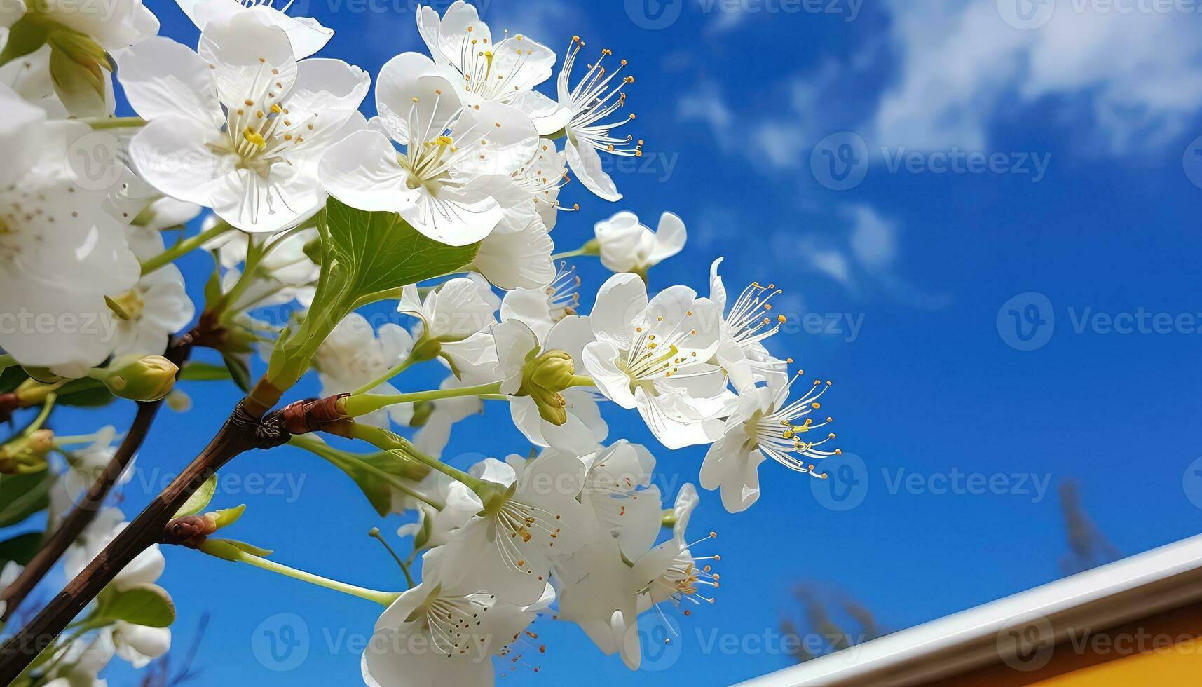 Serene Outdoor View Blossoms in Pristine Beauty AI generated photo