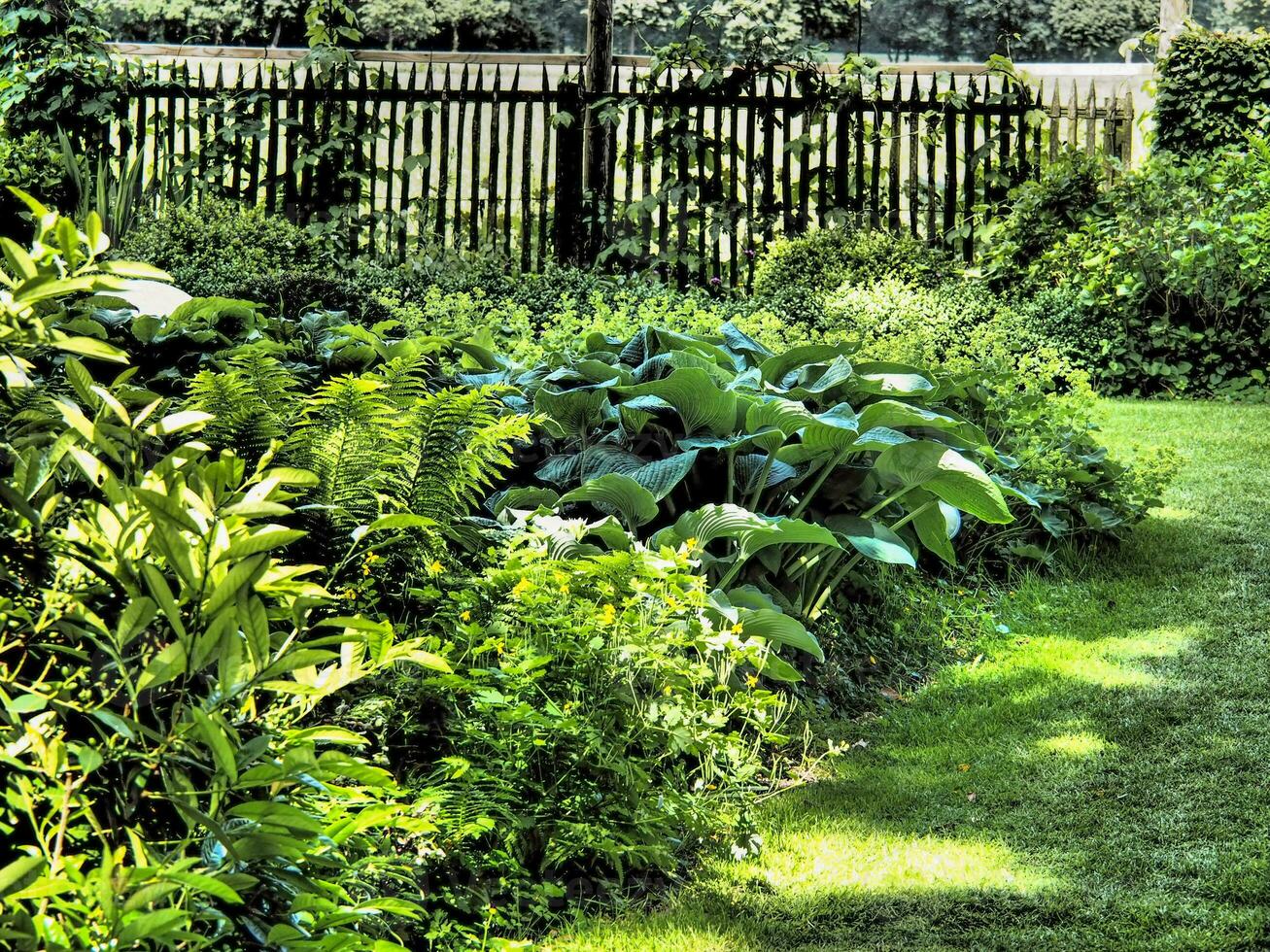 verano tiem en el jardín foto