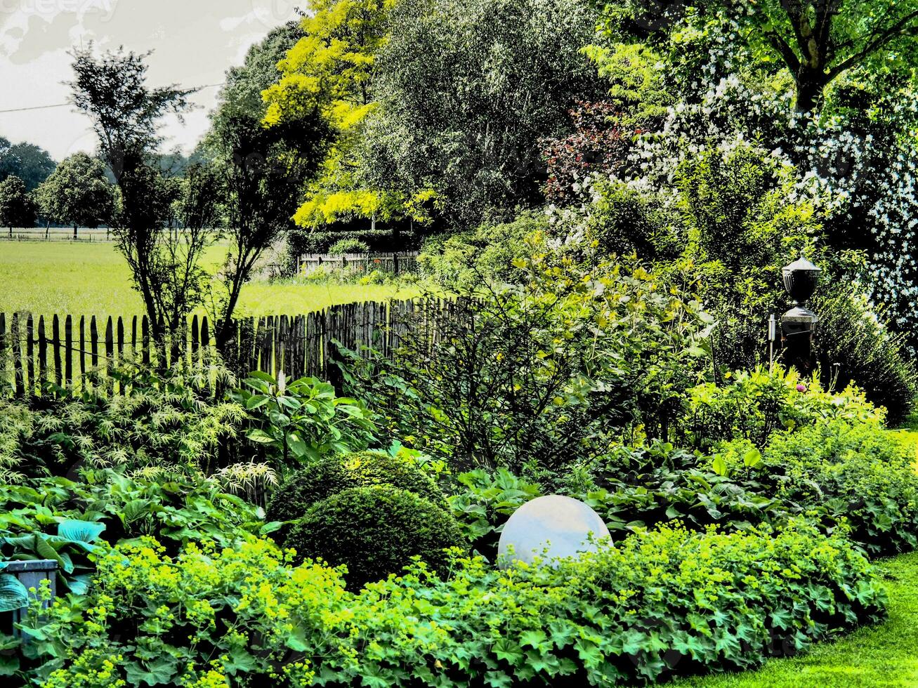 verano tiem en el jardín foto