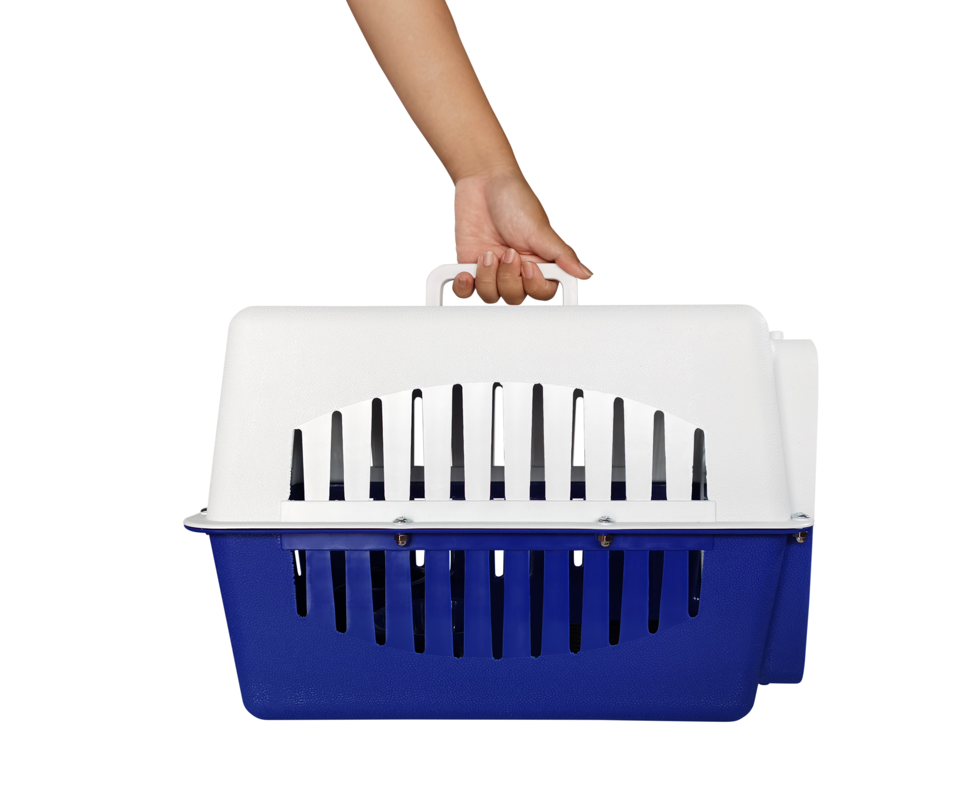 Hand holding a travel box for animals PNG transparent 33302386 PNG