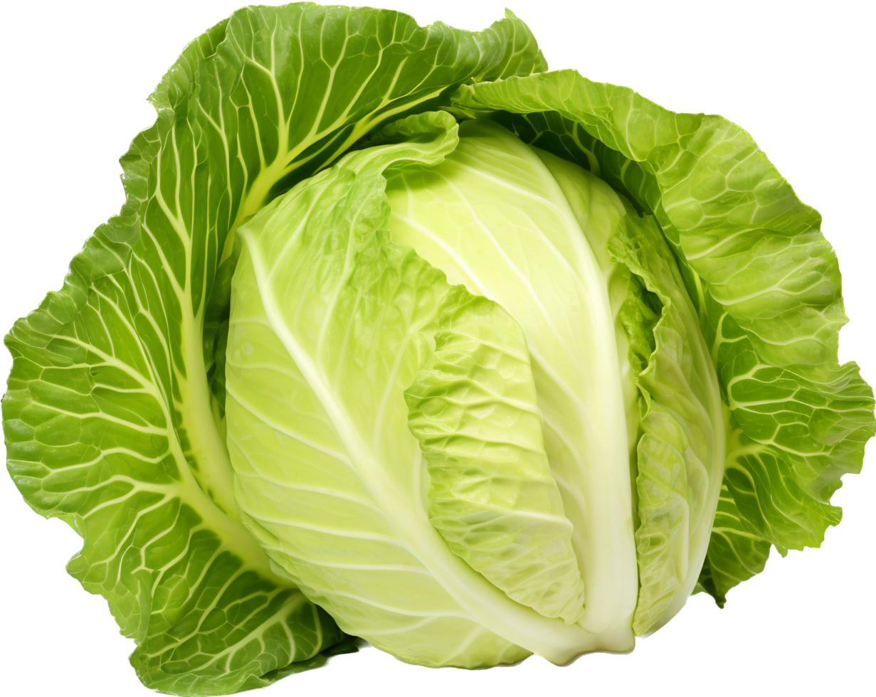 Cabbage png with AI generated.