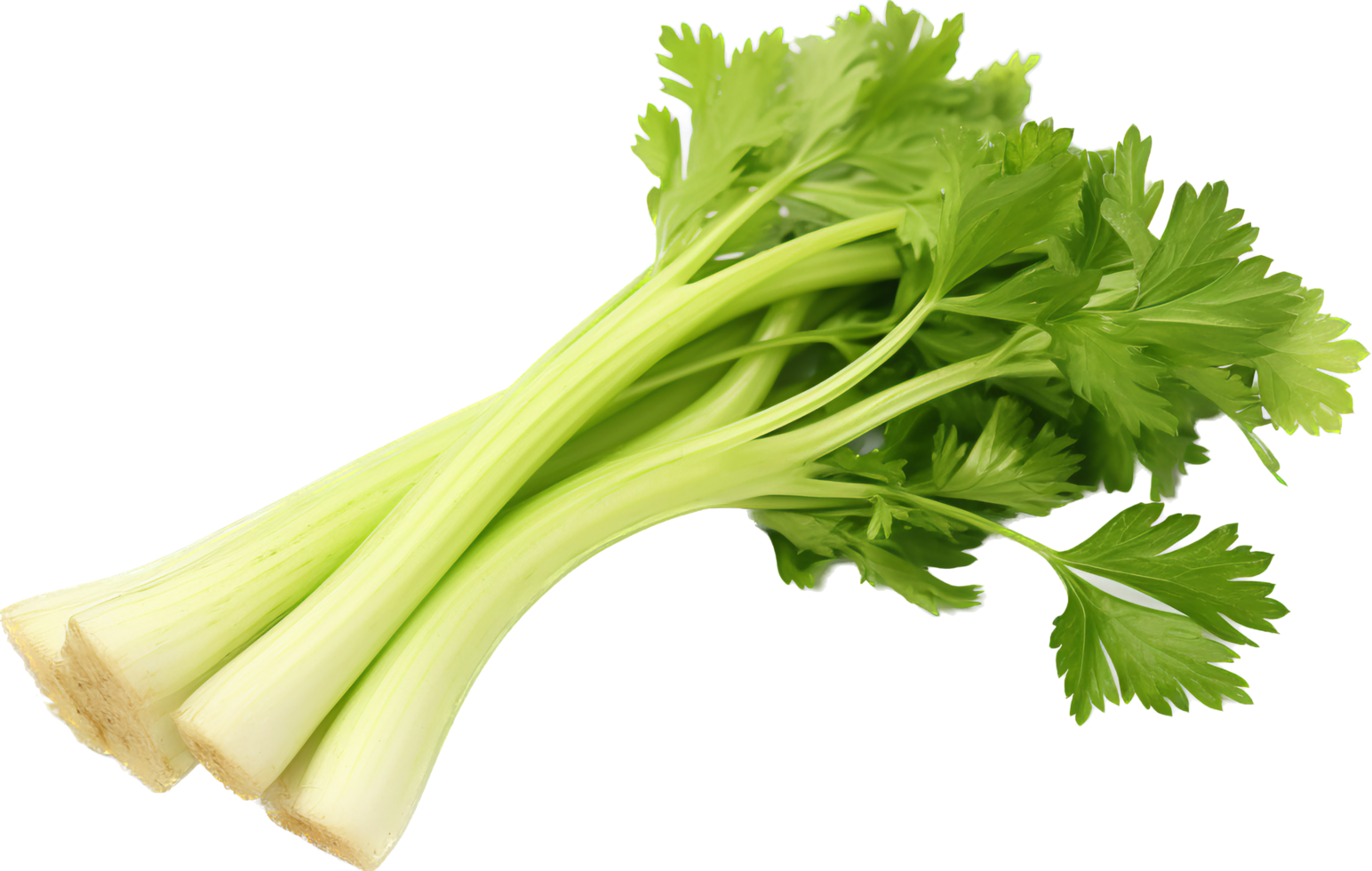 Celery png with AI generated.