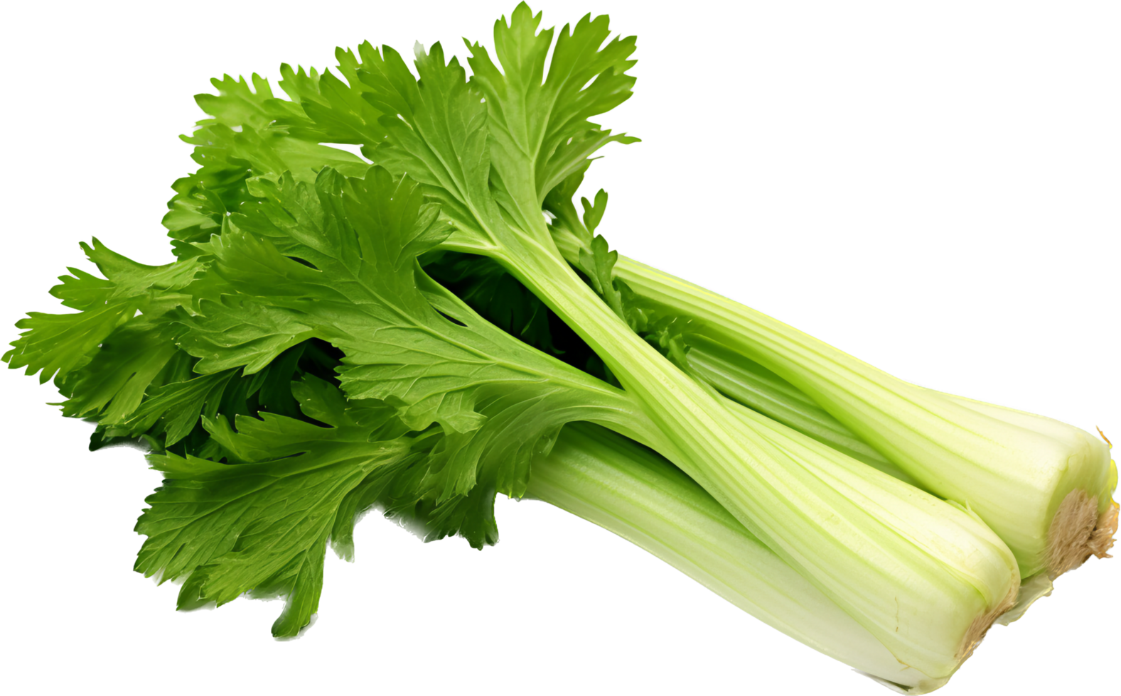 Celery png with AI generated.