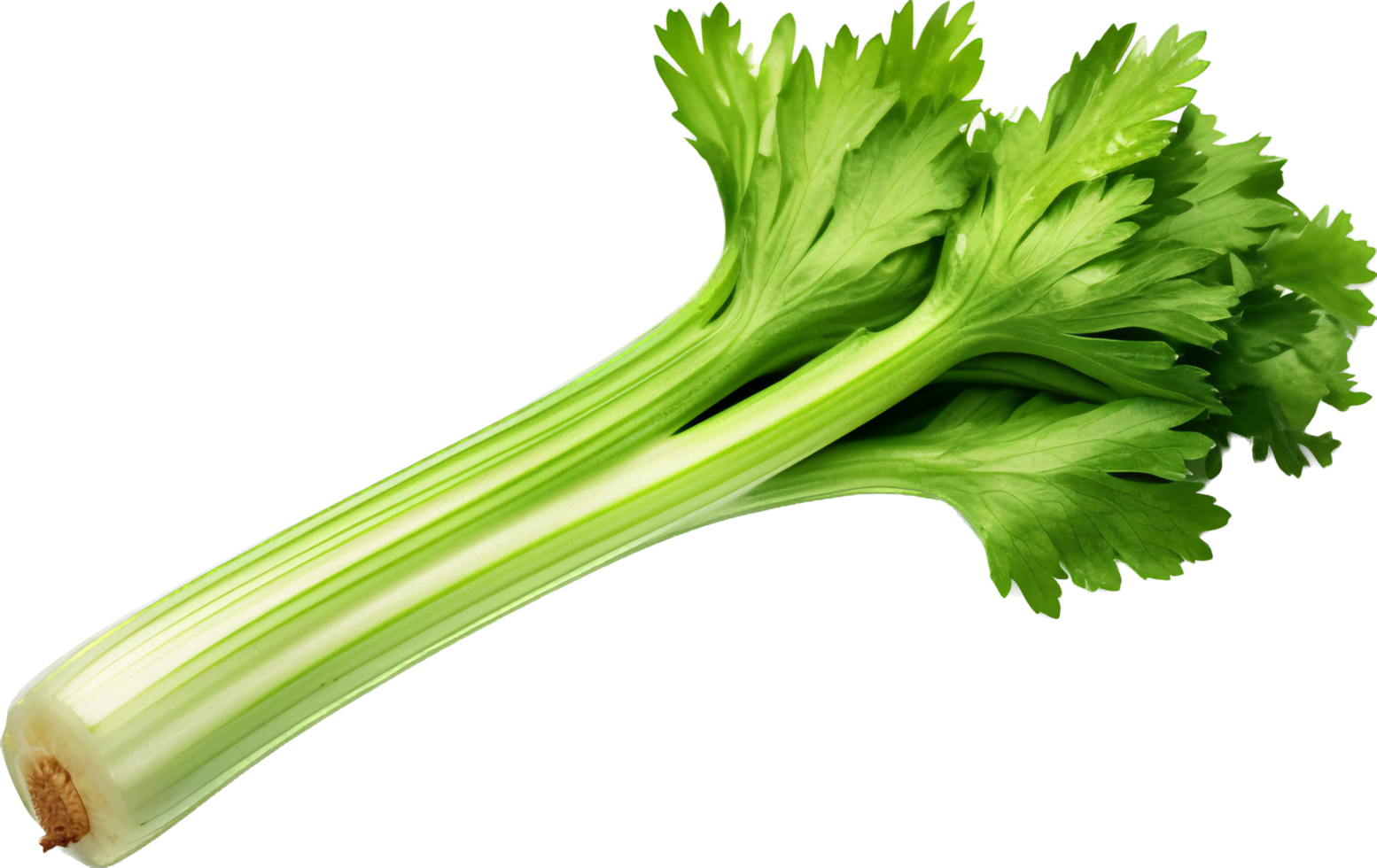 Celery png with AI generated.