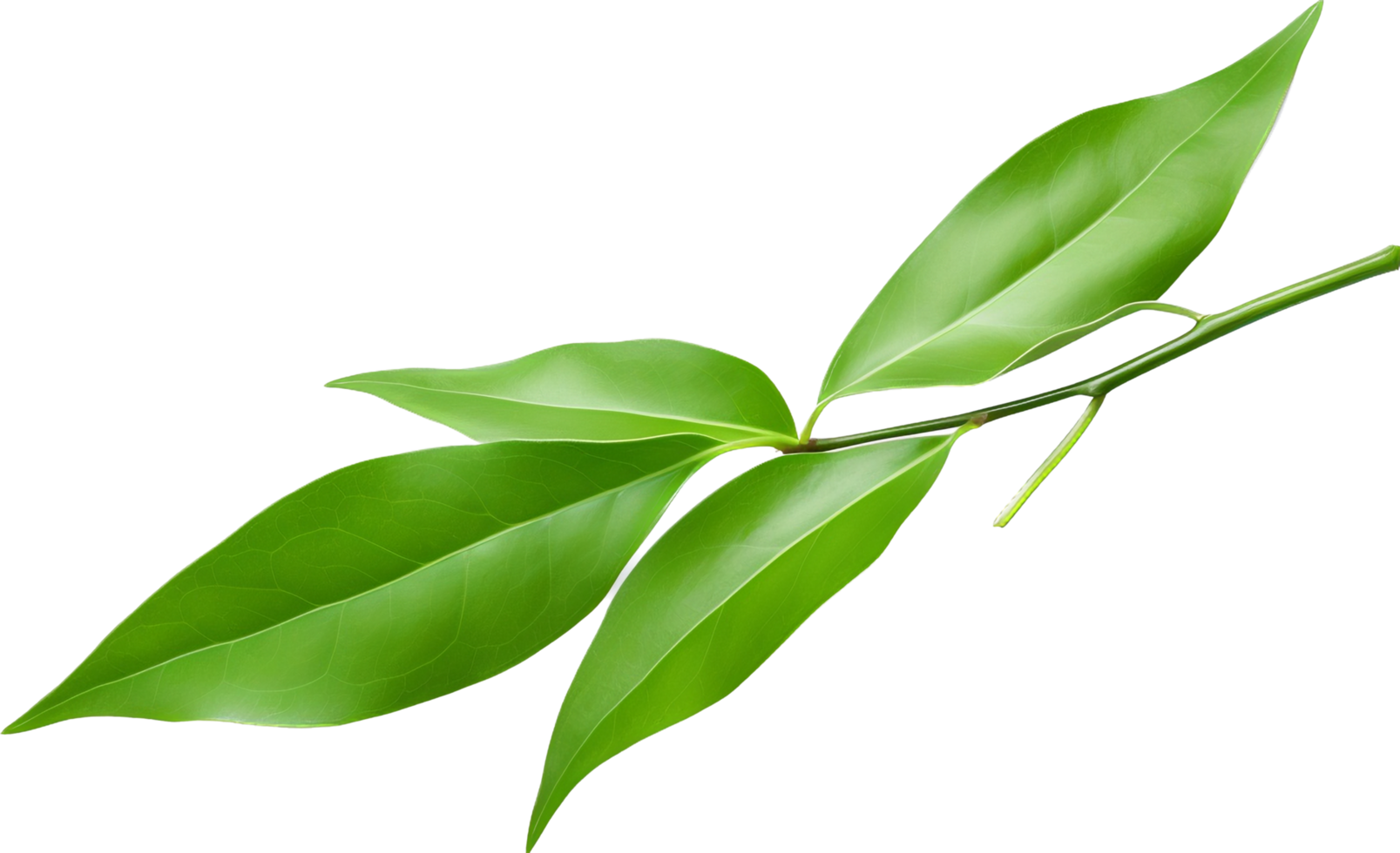 Tea leaf png with AI generated.