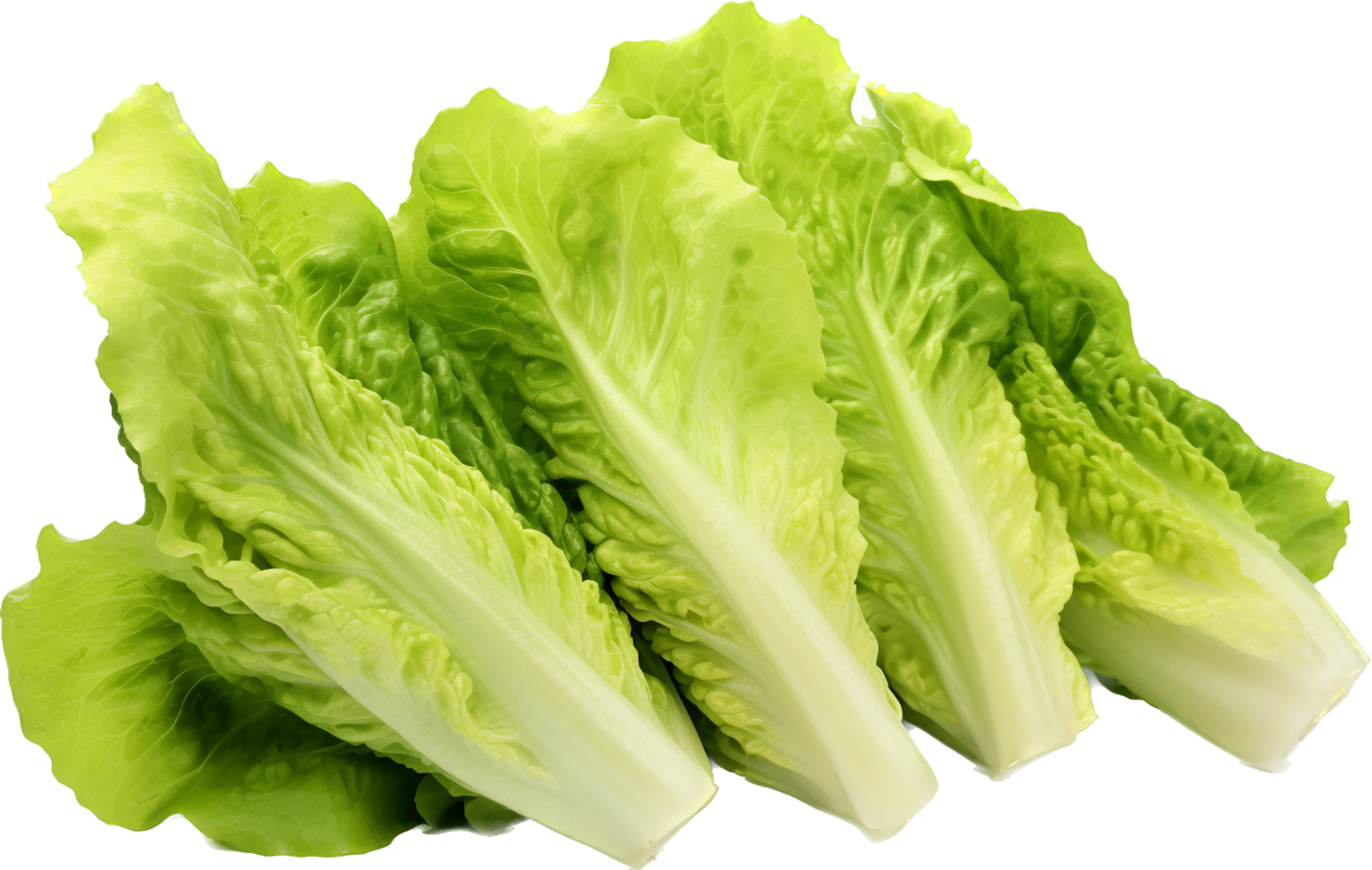 Lettuce png with AI generated. 33303091 PNG