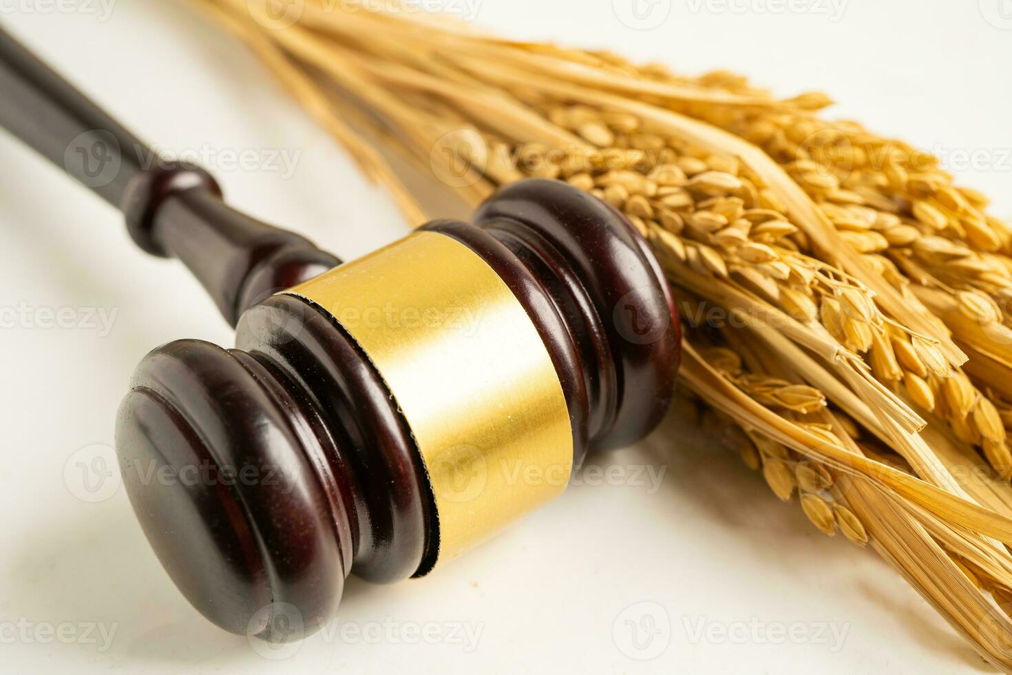 Judge gavel hammer with good grain rice from agriculture farm. Law and justice court concept. photo