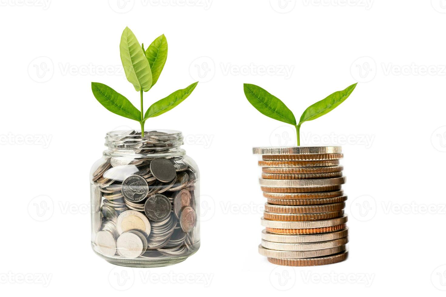 hoja de plumule de árbol en monedas de ahorro de dinero, concepto de inversión de banca de ahorro de finanzas comerciales. foto