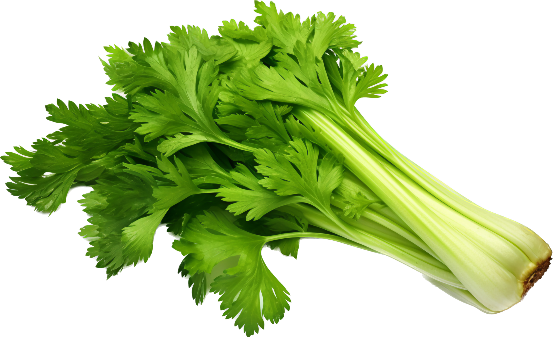 Celery png with AI generated. 33303205 PNG