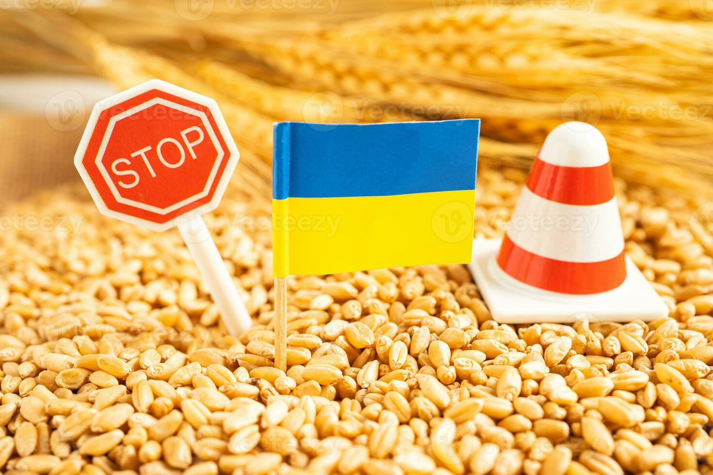 Grains wheat with Ukraine flag, trade export and economy concept. photo