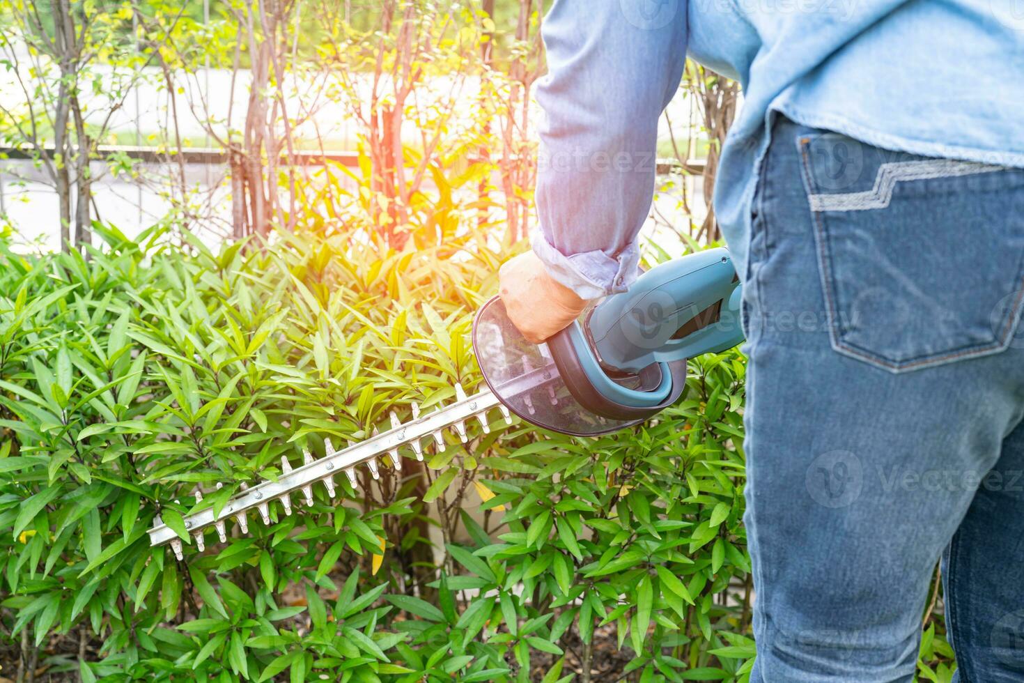 Woman taking care and growing plants, Hobby planting home garden, ornamental pruning. photo
