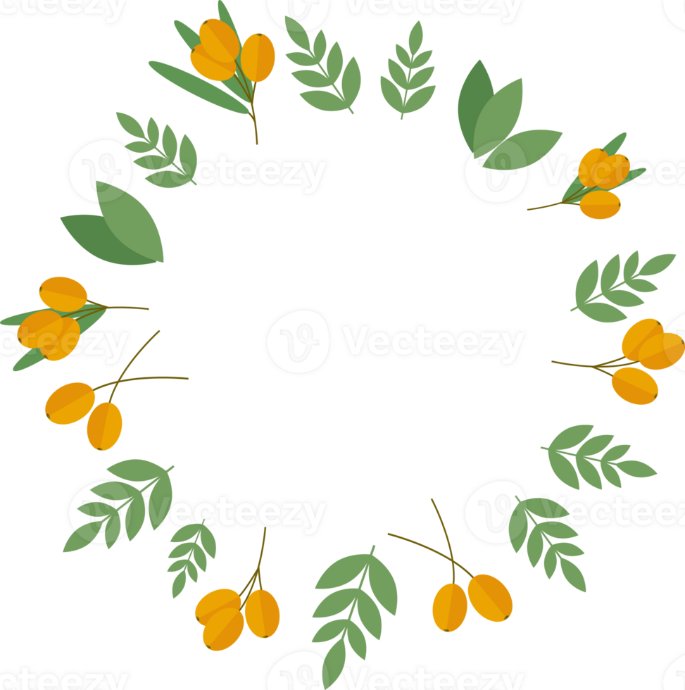Round frame of sea buckthorn berries and green leaves in flat png
